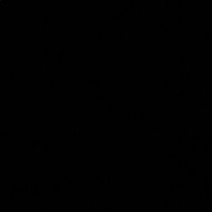 Meet your Posher, Evelyn